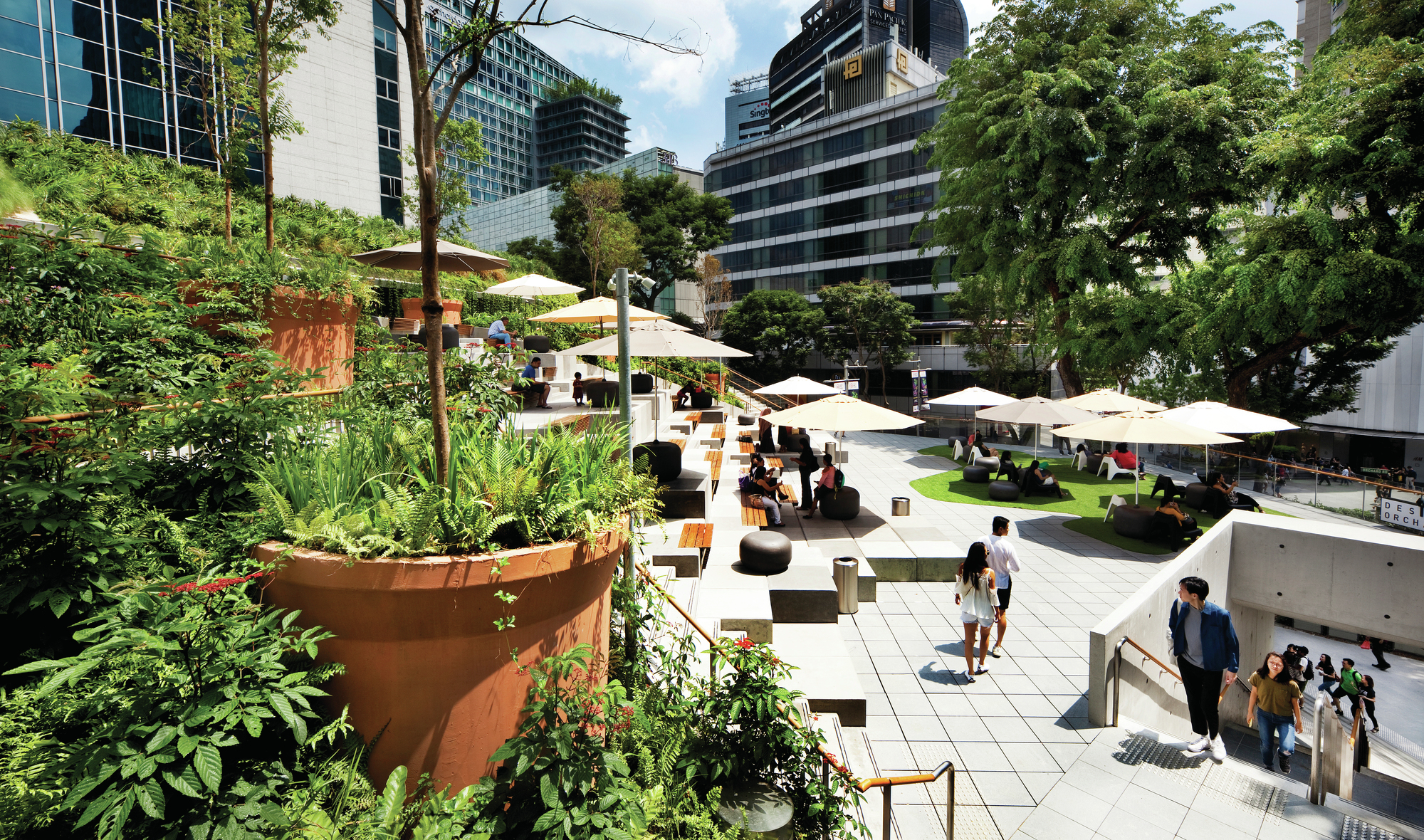 Design Orchard - Architect Magazine