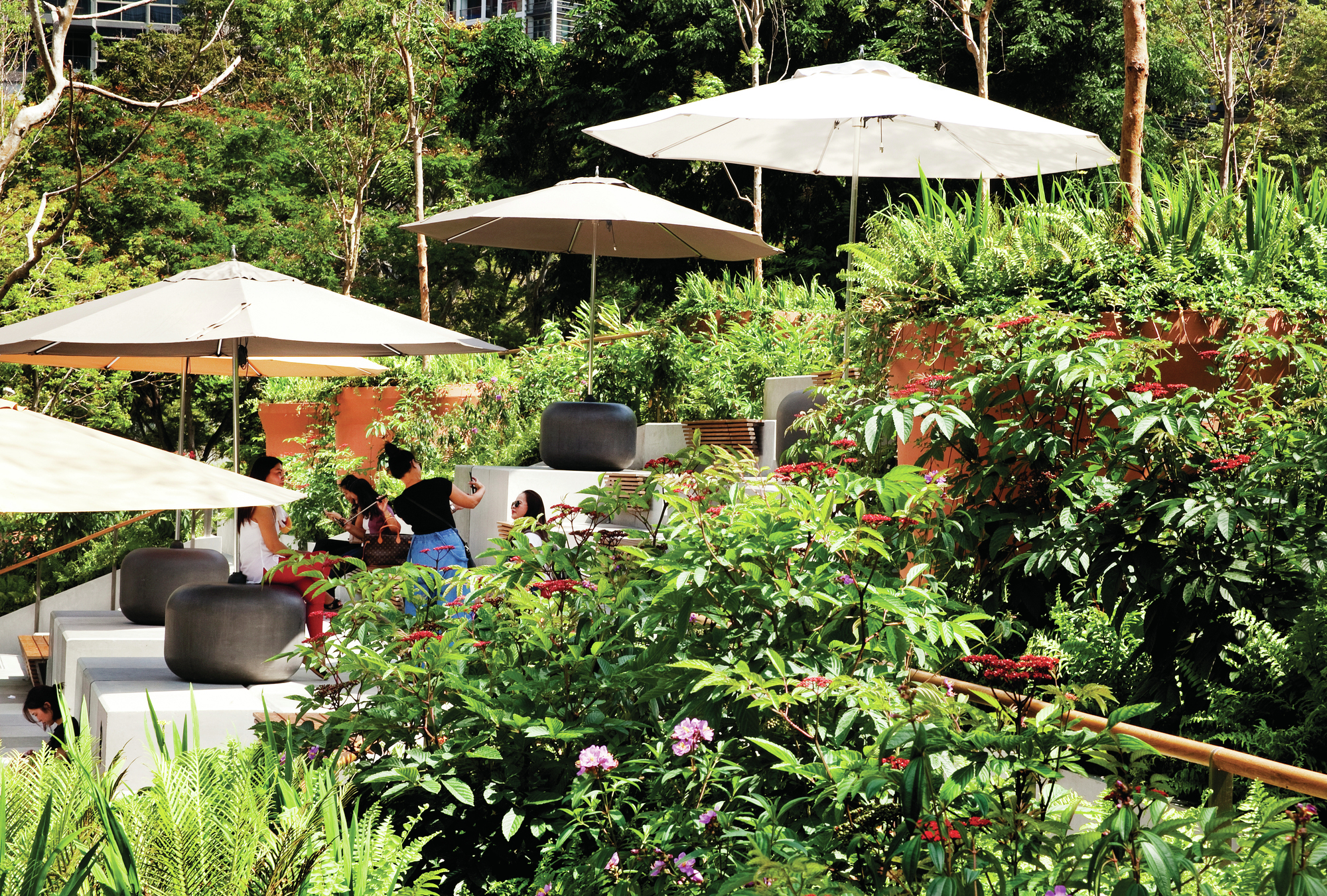 Design Orchard - Architect Magazine