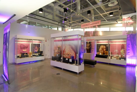 The National Museum of Health and Medicine