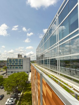 Green Roof