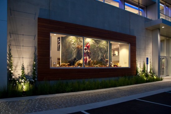 Display window details