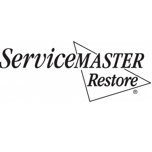 ServiceMaster DSI