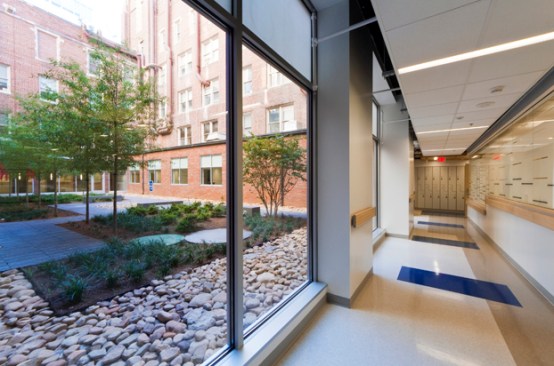 Vantage+Laboratory%3a+Refurbished+Interior+Courtyard