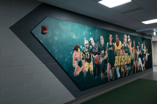 Wall graphics throughout the SHAC display the program’s commitment to Bison Pride
