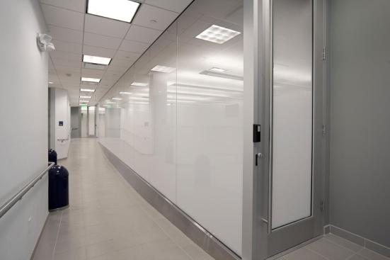 Partition wall and door with ViviGraphix Gradiance glass, Scatter interlayer, Standard finish; door stiles and rails shown in Stainless Steel with Sandstone finish; also shown, Round Door Pull in Satin Stainless Steel at Florida International University - Ryder School of Business, Media Labs, Miami, Florida