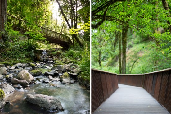 Lower Macleay Trail Bridge