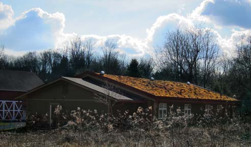 Roof - Winter View