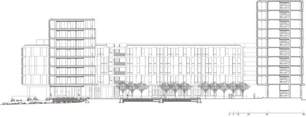 Section.