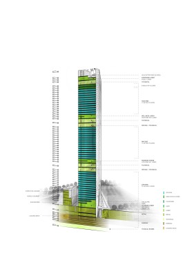 Section.