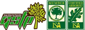 https://www.placertreeservice.com/
