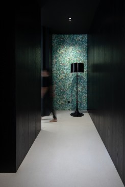 vestibule