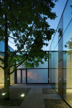 A 25-year-old Oak tree provided the central idea of a building designed around courtyards