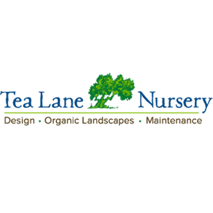 Tea Lane Nursery