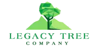 Albuquerque Tree Service Experts