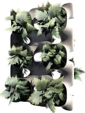 Populated with ferns