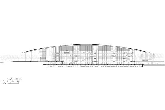 Longitudinal section