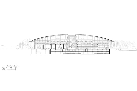 Transverse section