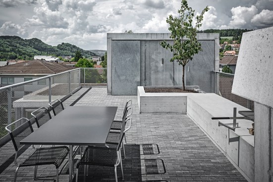 The roof terrace includes a fireplace and planter.