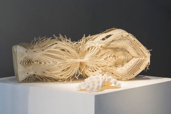 Installation model by Robert Stuart-Smith Studio