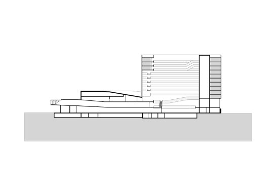 Section