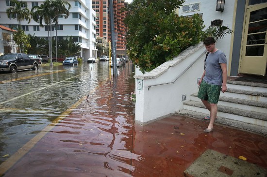 Can Miami Design a Solution to Rising Seas?