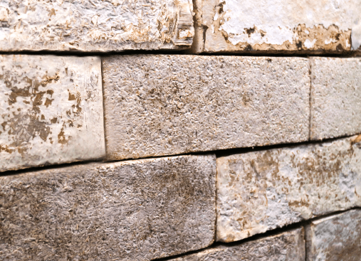 Biohm-designed brick samples made from mycelium