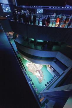 From the top of the four-story Giant Ocean Tank at the New England Aquarium, looking down at the penguin tray below.