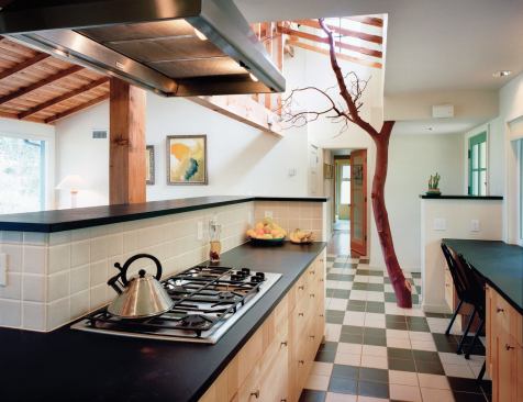Arkin and Tilt transformed a 1950s ranch house by reorganizing the floor plan and opening the roof with a venting cupola. A harvested madrone tree in the entryway reaches toward the trees outside.