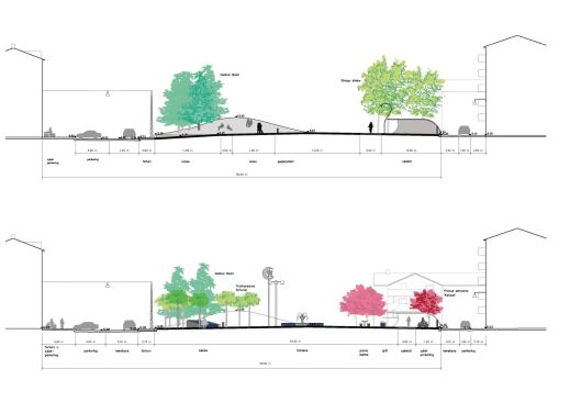 Sections through the site showing various interventions. 