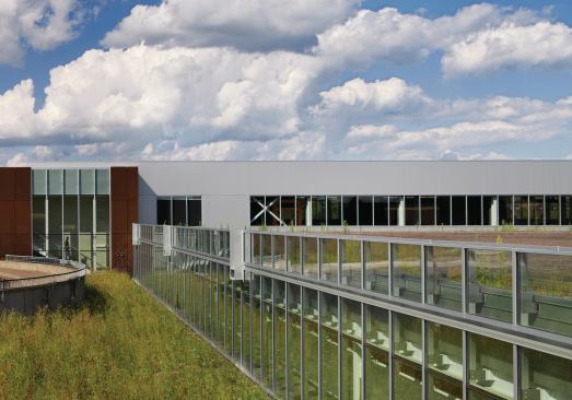 Green roof