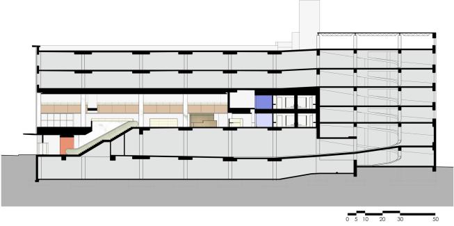 Section.