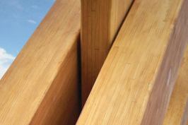 Accoya Wood is softwood that is given the properties of tropical hardwood.