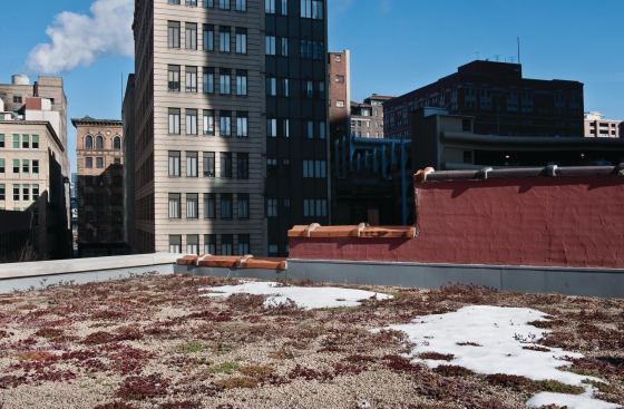 VEGETATIVE ROOF The Roofscapes vegetative roof’s moisture-retention layers store water for plant use, reducing water flow to drains; drought-tolerant sedum will absorb 70% to 80% of rainfall and requires no additional irrigation. Sika Sarnafil’s G476 vinyl membrane has a non-permeable, closed-cell foam backing layer coated with pressure-sensitive adhesive. Roofscapes: 215.247.8784. 
http://www.roofmeadow.com/. Sika Sarnafil: 800.451.2504. 
http://www.sarnafilus.com/.