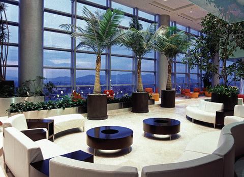 Ambient light in the winter garden supplied by 35W ceramic HID downlights does not compete with the spectacular views of the mountains that surround Mexico City.