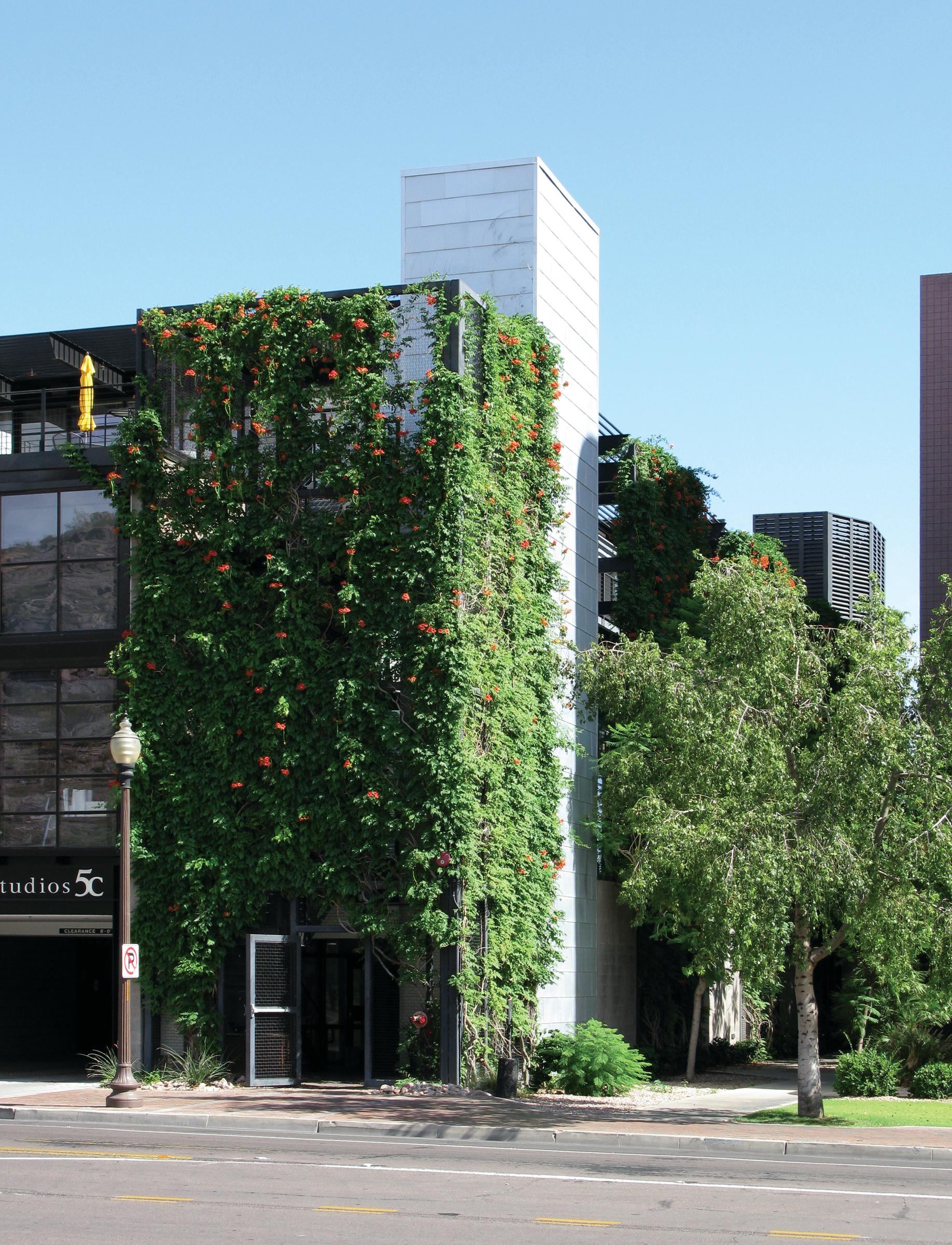 Behind Building Designing the Building-Landscape Interface