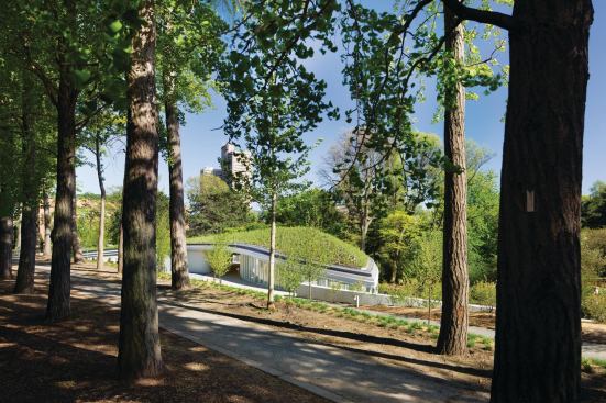 Garden view from Ginkgo allée.