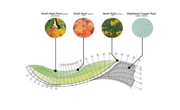 Green roof vegetation palette.