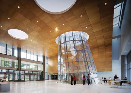 The double-height lobby serves as a new public entry to Rush University Medical Center, and the green-roof-topped volume also connects the new hospital tower to the adjacent existing building. The focal point of the lobby is what architect Ralph Johnson terms “a reverse terrarium,” a glass-enclosed garden that brings greenery into the space without the possibility of plant-borne infection.