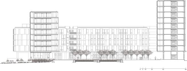 Section.
