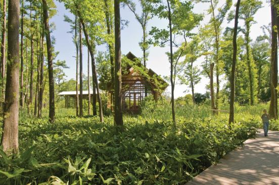 Shangri La Botanical Gardens and Nature Center, Orange, Texas