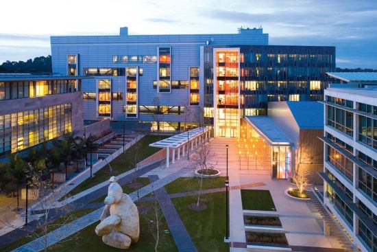 A teddy bear sculpture presides over UCSD's new Jacobs School of Engineering Academic Courtyard.