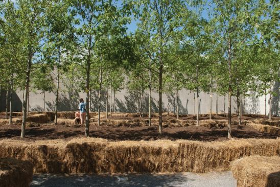 A smaller courtyard is filled with red oak trees. Nametags hung from the trunks identify where in Long Island City each tree will eventually put down roots.
