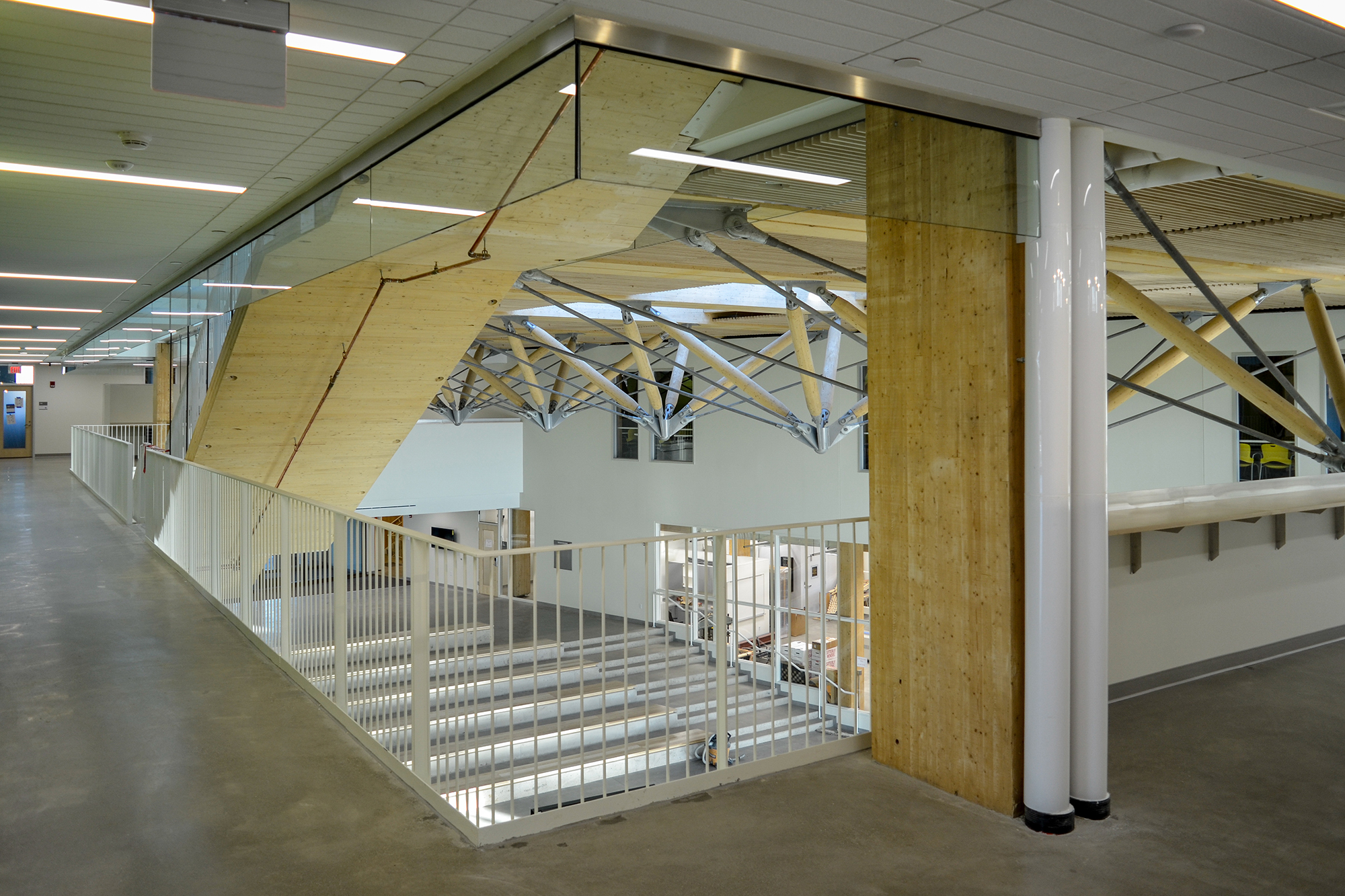Timber On the Rise, Part 4 - Elevating Design Through Wood
