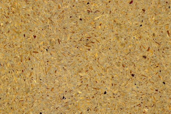 Wood concrete
