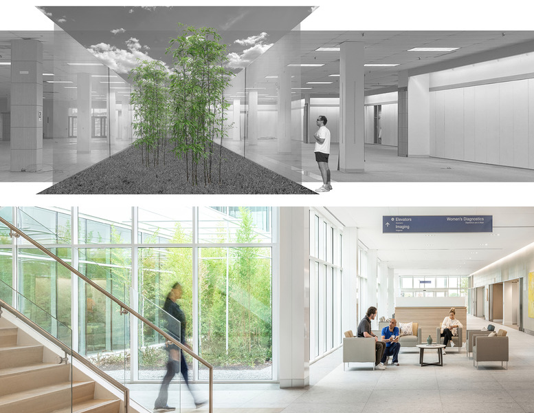 UT Southwestern Medical Center at RedBird - Architect Magazine