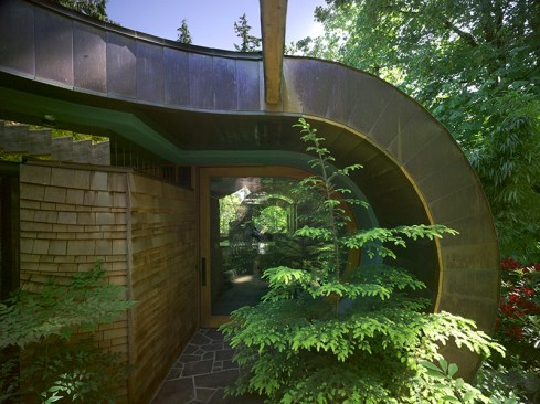 Wilkinson treehouse