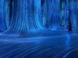 Teamlab Phenomena exhibition in Abu Dhabi.