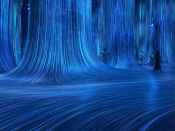 Teamlab Phenomena exhibition in Abu Dhabi.