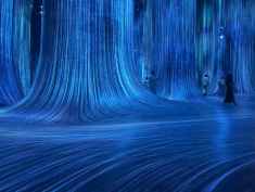 Teamlab Phenomena exhibition in Abu Dhabi.