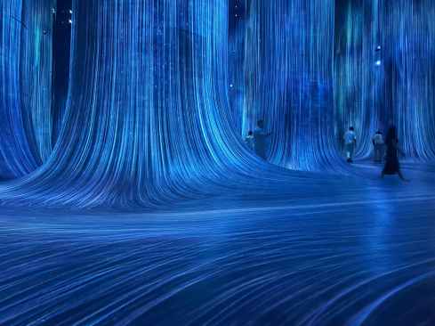 Teamlab Phenomena exhibition in Abu Dhabi.
